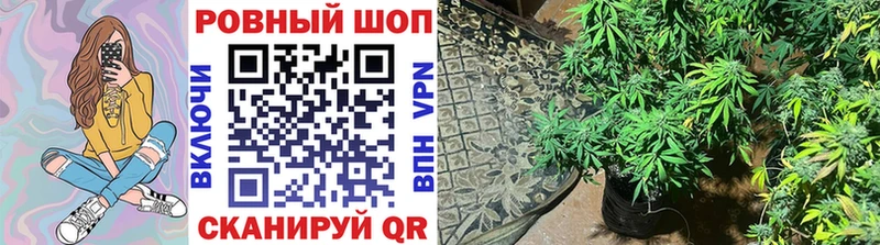 Где купить наркоту Кяхта АМФ  МАРИХУАНА  СК 