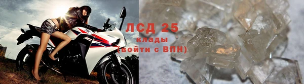 ПСИЛОЦИБИНОВЫЕ ГРИБЫ Кодинск