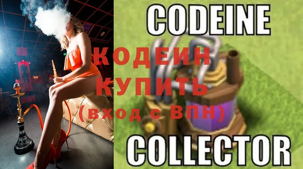 ПСИЛОЦИБИНОВЫЕ ГРИБЫ Кодинск