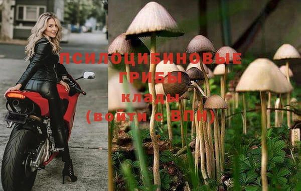 ПСИЛОЦИБИНОВЫЕ ГРИБЫ Кодинск