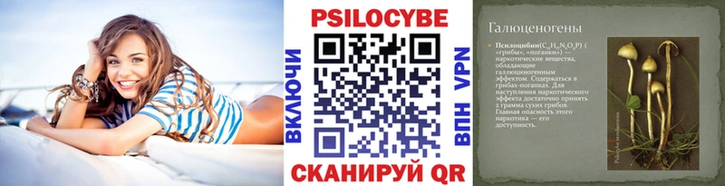 Псилоцибиновые грибы Cubensis  Кяхта 